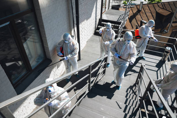 Best Emergency Mold Remediation  in Olivehurst, CA